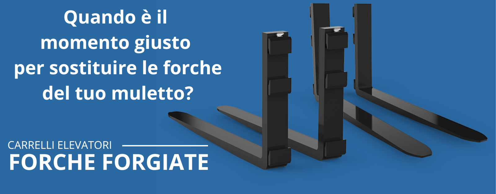 forche per carrelli elevatori